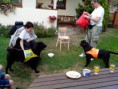 /album/primestsky-tabor-2-turnus-/img-20130821-161800-jpg/
