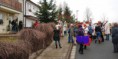/album/masopustni-pruvod-2014/dsc-0017-jpg/